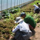 한몽농장 이미지