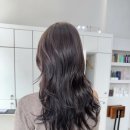 르본 - 서초구 서초중앙로33길 6-8 | 르본