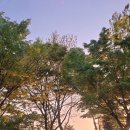 르깜므(Le Calme) 이미지