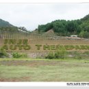 인제19-1 이미지