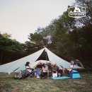 Go with Dogs - <b>요세미티</b> <b>펫</b>웨어 소개