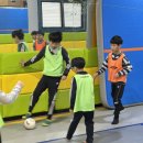 우리동네 하백 태권도 이미지