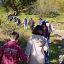 초촌리 고분군 이미지