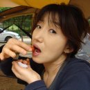 법흥캠핑장 이미지