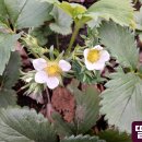 한길농장 이미지