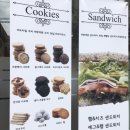 에스프레소 비비안 이미지