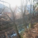 다솔초교 이미지