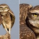 프로골프실내연습장 이미지