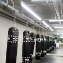 와일드짐 이미지