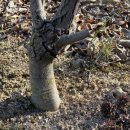 대목농장 이미지