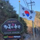 횃불농장 이미지