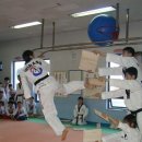경성태권도 이미지