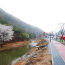 산꽃벚꽃마을 오토캠핑장 이미지