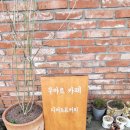 금악초등학교 | [리뷰작성/제주] 제주한림카페 제주카페 제주한림맛집 무아르카페