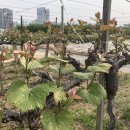 새순2농장 이미지