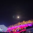 숲속애정원