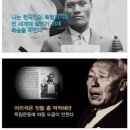 한국돈농장 이미지