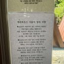 캠프바베큐 이미지