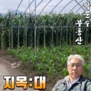 춘천오늘부동산공인중개사사무소 이미지
