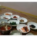 장춘복어 Daum카페