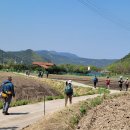 DMZ 평화의길 고성 31-1/32 코스 (2025.4.26)