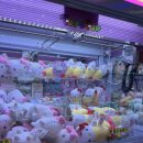 동대구 뽑기역 이미지