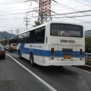 김해시 관내를 운행중인 시내버스와 시외버스 (2013.10.9) 이미지