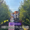 서현팜 2농장 | 김포 아이와 가볼만한곳 애플프렌즈팜 농촌체험 김포투어패스 후기