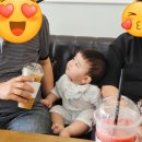 멍멍이와 야옹이 나들이 이미지