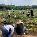 수원농장 이미지