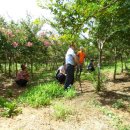 동일농장 이미지