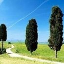 송암태권도 이미지