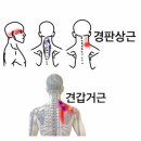 운평선생 문집판목 | 四字成語 총정리 &lt;ㄱ&gt; 432 경쾌전차~경폐출두