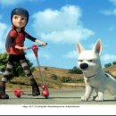 샤워하는 강아지 이미지