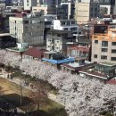 2026년 4월 월간기록 (상)