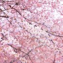 이브여성의원 이미지