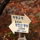 손영기목장 네이버블로그