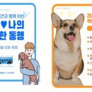 ㈜드림관광 이미지