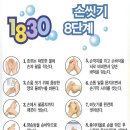 피네테스