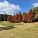 선 골프 이미지