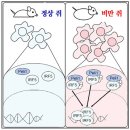 정두현