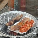 로이애견 | [공지] 청도 애견동반 글램핑 추천｜칠월의아침 &amp; 신난다애견글램핑 로이랑 1박2일 솔직후기 🐾