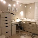 스타피드 이미지