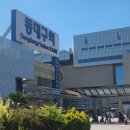 [후기] 대구불교박람회 : 공을 굴려봐요 공운공운공운공운