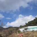 맑은물소리펜션 | 청도독채펜션 경북청도펜션 “깊은산속맑은공기펜션” 자연 힐링 후기