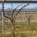 세주농장 이미지