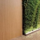 샤인우드 이미지