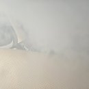 국민카세차장