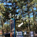 양지로5L | 충남 태안 국립공원 몽산포 야영장 / 해수욕장 이용후기