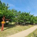 하단동1209 이미지